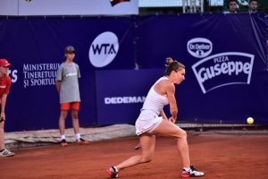 13672210_1712703652315565_1097684251_n