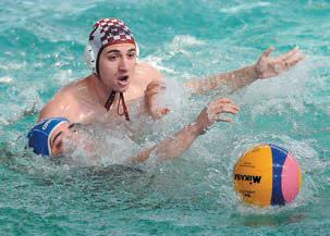 Viorel Rus, antrenor Steaua: „Nu avem cultură sportivă“