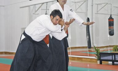 Aikido Tradiţional alături de Shihan Paolo Corallini