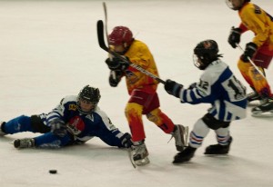 Piticii Stelei au făcut spectacol