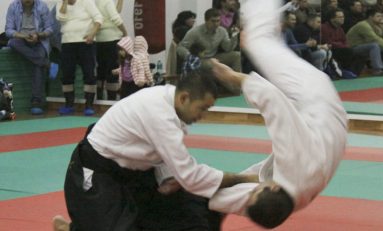 Clubul Aikibudo la vremea retrospectivei