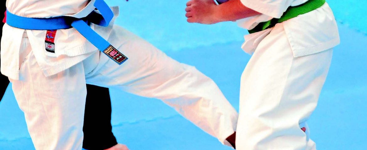 CAMPIONATUL NAŢIONAL DE KARATE KYOKUSHIN 2010