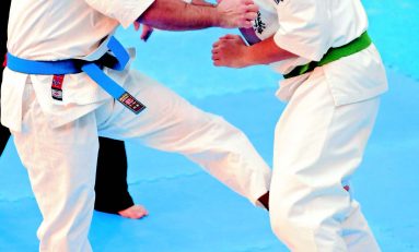 CAMPIONATUL NAŢIONAL DE KARATE KYOKUSHIN 2010