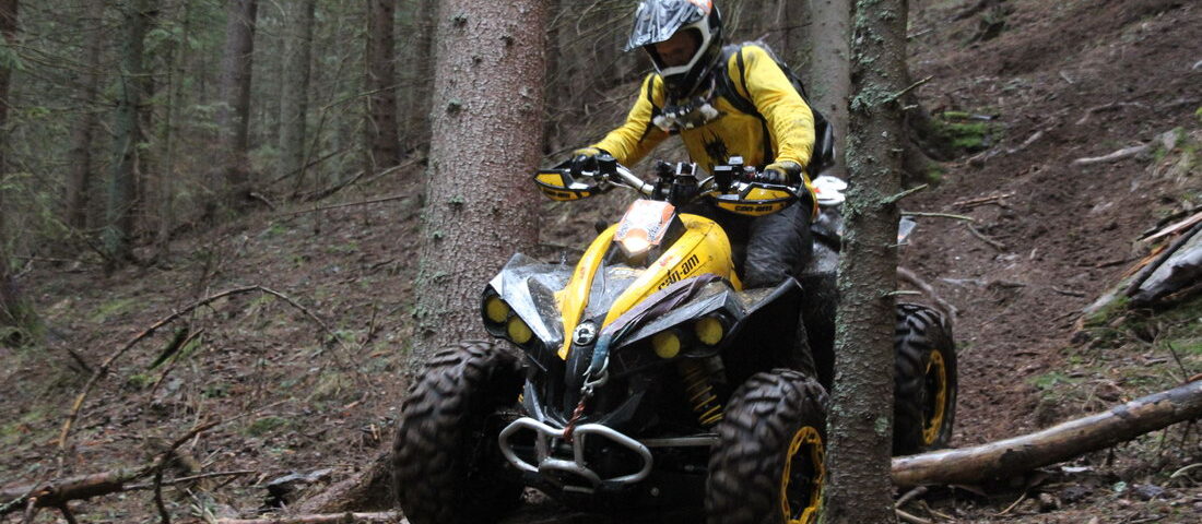 Clujeanul Radu Lungu, la conducerea concursului „Vânează Lupul”