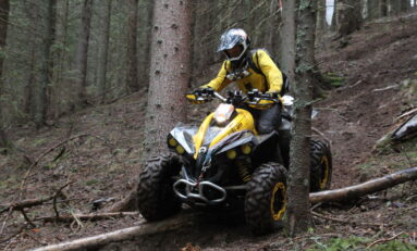 Clujeanul Radu Lungu, la conducerea concursului „Vânează Lupul”