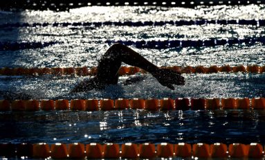 REGELE DIN AUSCHWITZ.