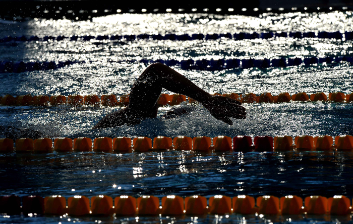 REGELE DIN AUSCHWITZ.