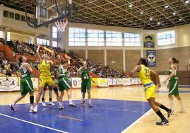 Zoran Visici, noul antrenor al campioanei ICIM Arad