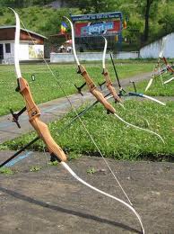 Rezultate notabile obţinute de arcaşii roşioreni