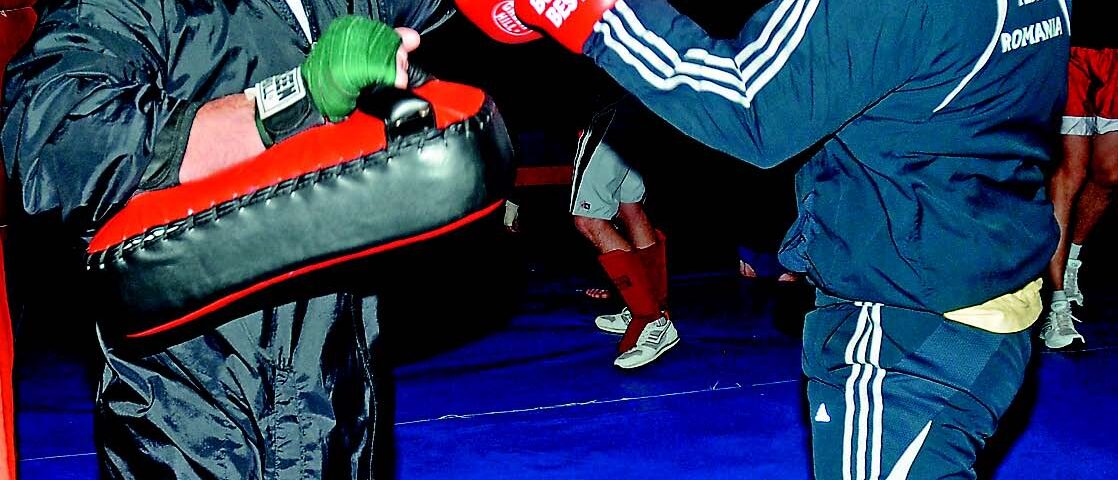 FRAM – Coordonatori principali: Ion Benea; Petru Grindeanu; Horaţiu Bîrleanu; Leontin Bocancea; Florin Ioana.