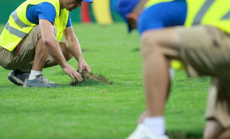 UEFA a hotărât: Steaua vs Schalke se va juca pe 15 septembrie, la Cluj
