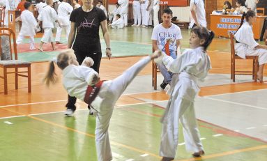 Cupa Satori karate SKDUN
