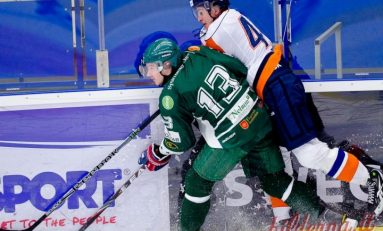 Roberto Gliga a debutat la seniori, în Suedia