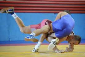 Campionatul European de Lupte pentru Seniori