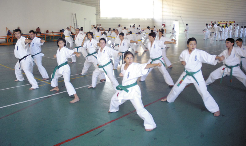 F.R. Kyokushin Tradiţional