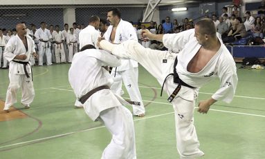 Stagiu de vară 2011 - Kyokushin - Kick Boxing