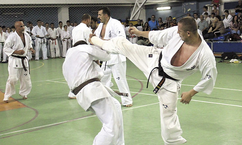 Stagiu de vară 2011 – Kyokushin – Kick Boxing