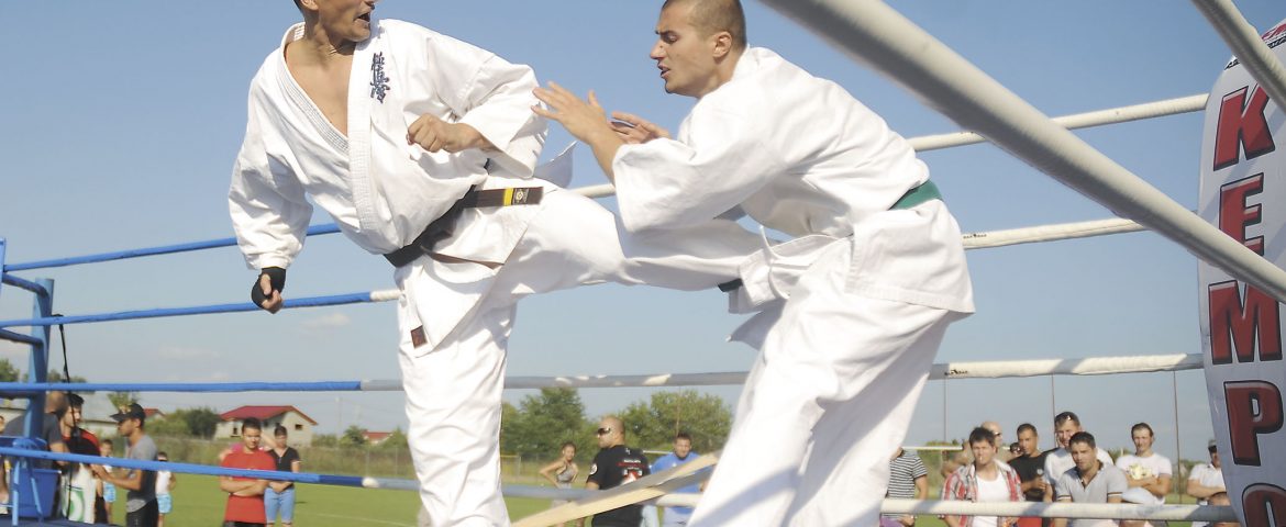 Sport’s Fighting Revolution – Ediţia 1 Domneşti