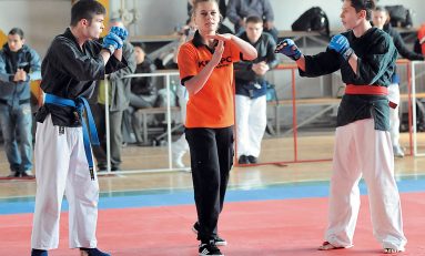 Cupa României Kempo Knockdown - Bucureşti 2011 –