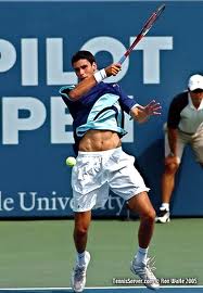 ATP Gstaad: Hanescu o tine din infrangere in infrangere