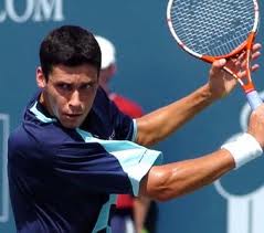 Victor Hănescu, învins de slovacul Pavol Cervenak