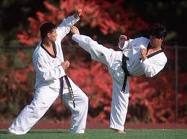 Taekwon-do - Cinci “dragoni” în lotul naţional