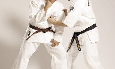 Campionatul Mondial Ashihara Karate - 12-13 noiembrie 2011, Sala Polivalentă, Bucureşti