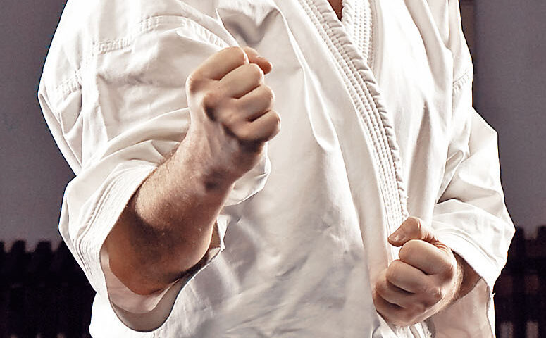 SHIHAN AUREL PĂTRU conduce stagiul SKDUN de la Timişoara