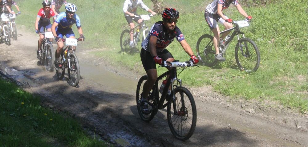 Rezultate notabile pentru CS Tibiscus în competiţiile interne