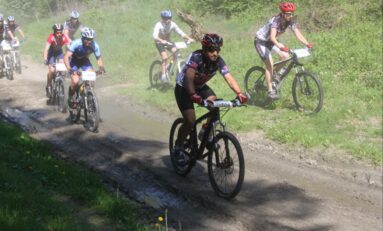 Rezultate notabile pentru CS Tibiscus în competiţiile interne