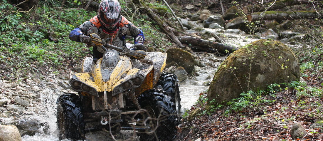 Competiţia „Vânează-lupul”, gata de start