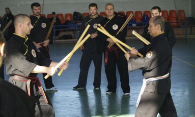 Activitate intensă întru performanţă...