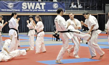 Rezultatele Campionatului Mondial de Ashihara Karate găzduit de Braşov la început de noiembrie