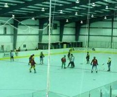 VIDEO - Cel mai nervos antrenor de hochei!