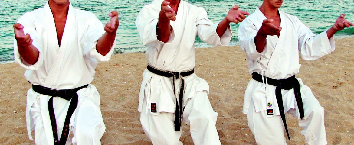 SHIHAN AUREL PĂTRU – PREŞEDINTELE SKDUN (Shotokan Karate Do of United Nations)
