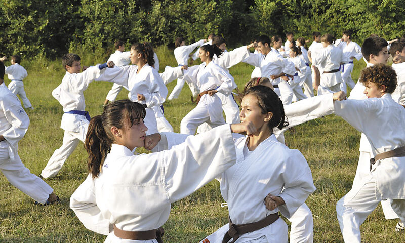Departamentul de karate SKDUN se pregăteşte la Poiana Pinului