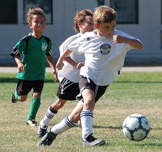 Cupa Danubius la juniori D