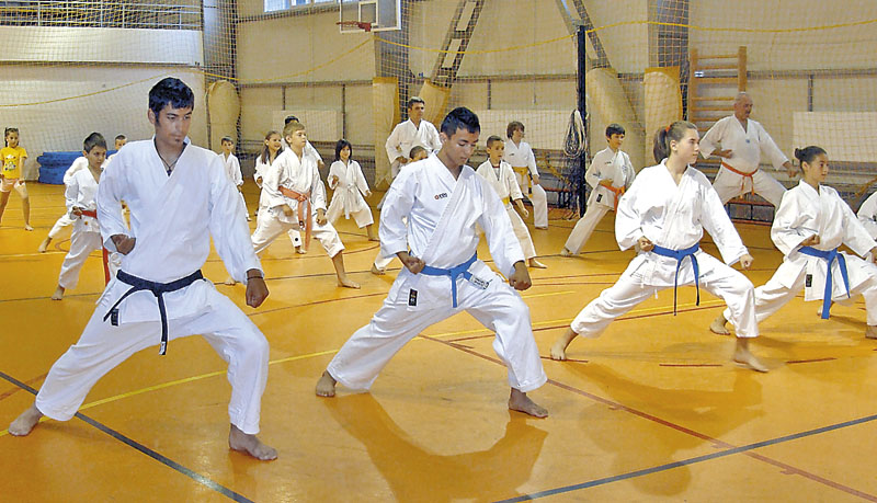 DEPARTAMENTUL DE KARATE SKDUN – Clubul Sportiv Musashi San 2004 Bucureşti