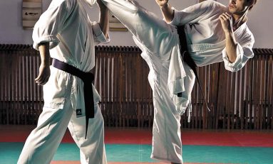 Radu Todiraş - Overall Karate Champion