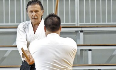 Aikido în stil Iwama