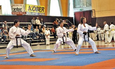 Turneul de Arte Marţiale UCAME - Arta de a-ţi controla energiile