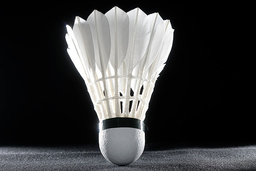 La mulţi ani, Federaţia Română de Badminton!