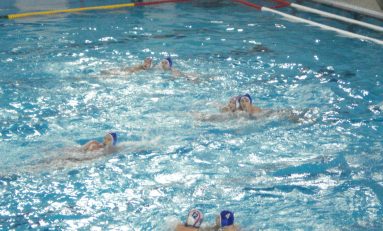 CSM Digi Oradea s-a distrat cu Steaua, 11-2