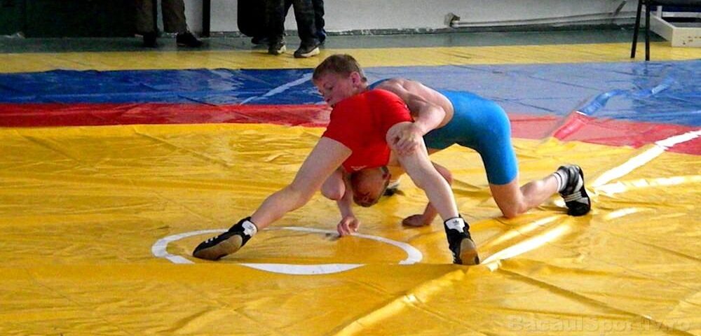 Reacții la intenția CIO de a scoate luptele de la ediția 2020 a JO