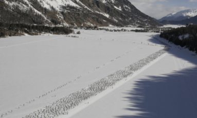 Kowalczyk și Poltoranin câștigă sprintul de la Davos