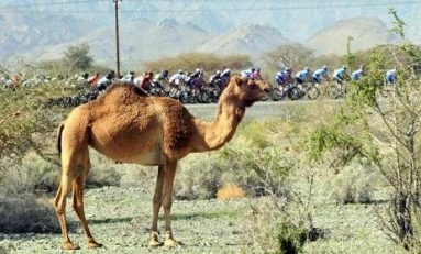 Între Turul Omanului și Algarve, în Portugalai