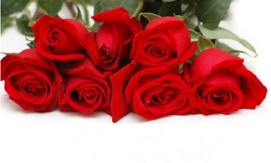 La Mulţi Ani de 8 Martie