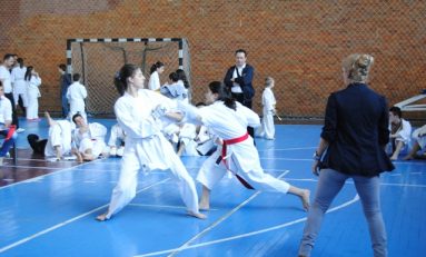 La Alexandria s-a desfăşurat Cupa Kanazawa