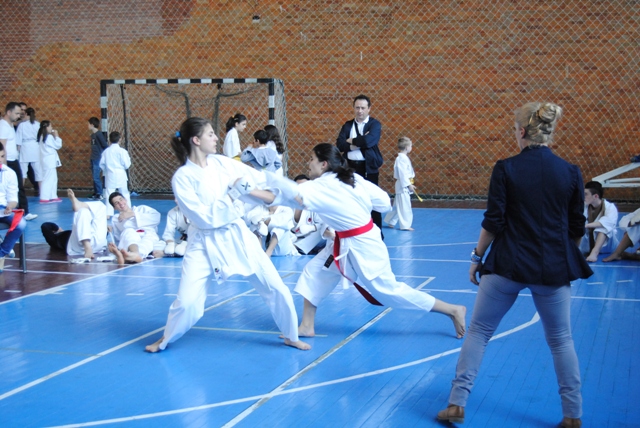 La Alexandria s-a desfăşurat Cupa Kanazawa