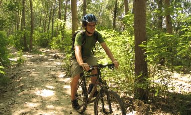 Trasee marcate pentru cicloturiști în zona Dealu Mare